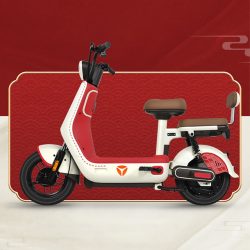 yadea 雅迪 电动车dv1新国标48v24a锂电池代步男女长续航电瓶车 dv1