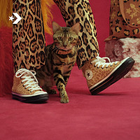匡威（Converse） 1970S男女趣味高帮休闲鞋时髦小豹A08161C A08161C 42