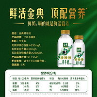 88VIP：yili 伊利 低温鲜牛奶金典450ml*4+235ml*5瓶装全脂巴氏杀菌新鲜早餐奶