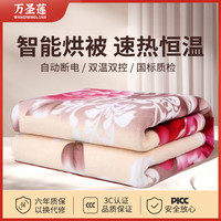 2023电热毯家用双人电褥子双人双控电热毯