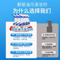 HAIBUS/海布森 厨房抽油烟机强力去除油污清洗剂 1瓶补充装(500ml不含喷头)