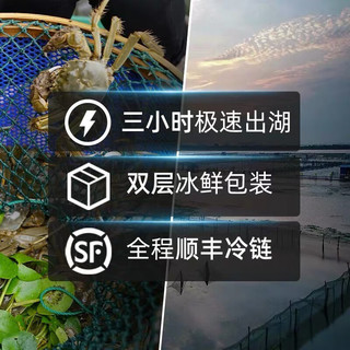 HUXIANYANGCHENG 湖鲜阳澄 大闸蟹 去绳足重 公3.5-3.8两母2.5-2.8两4对8只 鲜活螃蟹礼盒装