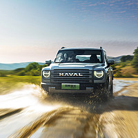 HAVAL 哈弗 猛龙