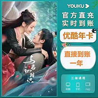 YOUKU 优酷 会员12个月