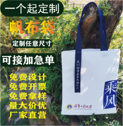 羽画 环保帆布袋logo广告宣传飘带帆布包定做棉布手提袋订制印图案