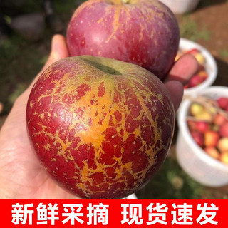 胡鲜森 四川大凉山丑苹果5斤盐源红富士苹果新鲜应季单果75mm