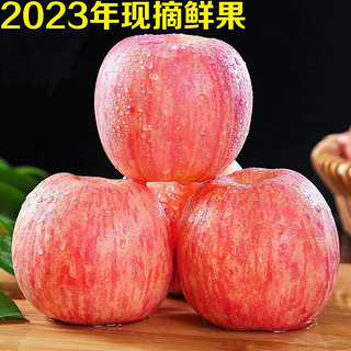 枝头春 烟台红富士苹果 10斤一级大果（单果80-85mm）