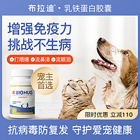 布拉迪乳铁蛋白胶囊60粒 远离猫鼻支 增强抵抗力猫咪狗狗