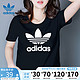 adidas 阿迪达斯 三叶草短袖女装夏季新款上衣宽松修身透气T恤FM3311