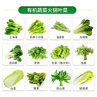 88VIP：有机汇 有机蔬菜套餐青菜叶菜火锅菜新鲜食材生吃蔬菜5-6种共3斤沙拉农场