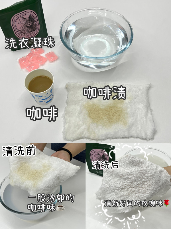 粒子森林——专业养宠家庭洗护好帮手,除毛、除菌、除螨、除臭统统帮你搞定!