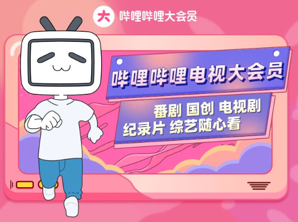 bilibili 哔哩哔哩 电视端大会员年卡 支持电视端