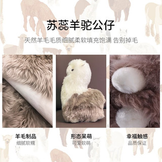 AUSGOLDENMIX 澳洲苏蕊羊毛羊驼玩偶公仔抱枕 仿真小羊驼毛绒玩具 白色羊驼：暖心伴侣