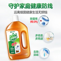 YACAIJIE 雅彩洁 衣物除菌液1.218L*2瓶装杀菌除异味消毒液家用杀菌衣物