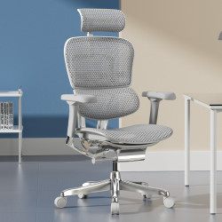 Ergonor 保友办公家具 金豪E 2代 人体工学电脑椅 银白色 Q4.0版 美国网 精英版