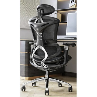 PLUS会员：SIHOO 西昊 Doro E300 人体工学椅