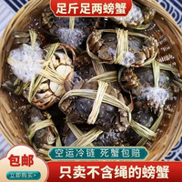 蟹锦记   大闸蟹 10只装蟹皇5.0-5.5两+（值友下单赠送2只直发10只大闸蟹）　