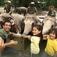 全球最佳动物园之一！新加坡动物园大门票（含游园车免预约）