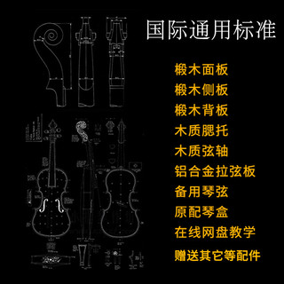 浩成 初学者小提琴