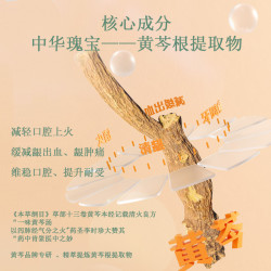 黄芩 中药清火牙膏亮白清新口气200g家庭装37年超市同款