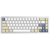 XINMENG 新盟 M67 67键 2.4G蓝牙 多模无线机械键盘 时光银-渐变彩 白玉轴 RGB 正刻