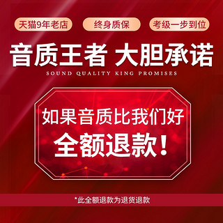 润扬 古筝黑檀素面专业级古筝琴初学者儿童小古筝便携式官方旗舰店