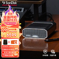 SanDisk professional 闪迪大师 极客 致捷 18TB 企业级桌面移动硬盘