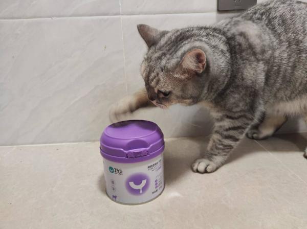 小编的猫咪亲测卫仕3款产品!羊奶粉+2款猫粮,有粮有营养~