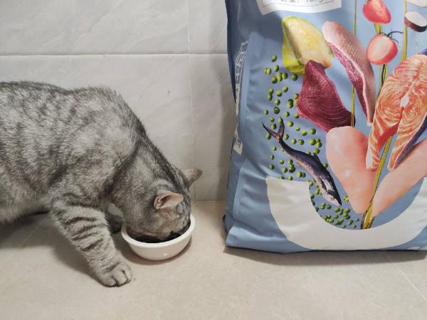 小编的猫咪亲测卫仕3款产品!羊奶粉+2款猫粮,有粮有营养~