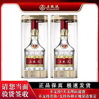 WULIANGYE 五粮液 八代普五 52度500ml*2瓶装 高度浓香型白酒送礼品袋