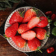 云南四季草莓 5斤