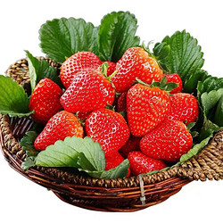云南红颜99草莓 5斤
