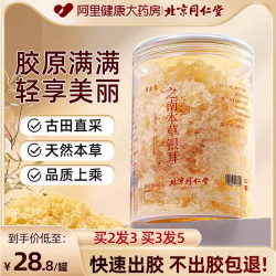 信盛堂 同仁堂古田之南本草银耳干货非特级野生冻冲泡即食免煮鲜炖银耳羹