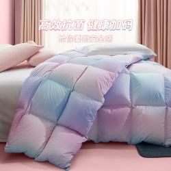 LOVO 乐蜗家纺 酷炫彩虹 95白鹅冬绒 220*240cm