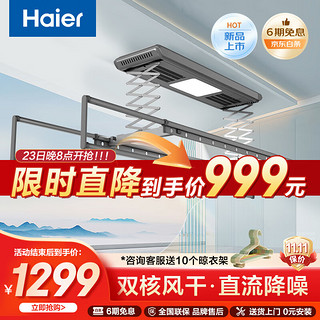 Haier 海尔 电动晾衣架阳台自动升降隐形嵌入隐藏式智能晾衣机全金属晒衣架 110QFH 玉墨银