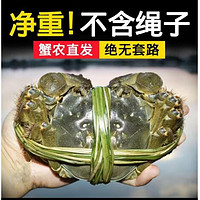 Brangdy 大闸蟹 8只礼盒装公蟹 4.6-5.5两+（值友下单赠送2只直发10只大闸蟹）　