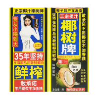 椰树 牌椰子汁海南鲜榨椰汁植物蛋白饮料1升*2盒