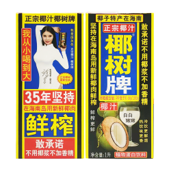 COCONUT PLAM 椰树 牌椰子汁海南鲜榨椰汁植物蛋白饮料1升*2盒