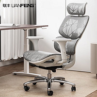 LIANFENG 联丰 DS-228C人体工学椅电脑椅久坐舒服家用办公椅休闲电竞椅老板椅子