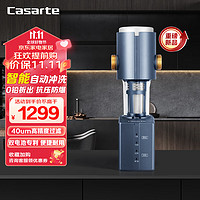 Casarte 卡萨帝 前置过滤器家用全屋中央净水 虹吸反冲洗6T/H大通量 管道过滤净水器CP-41（A）