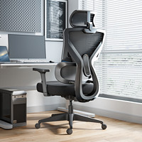 PLUS会员：HBADA 黑白调 P5双背款 人体工学椅 标准版