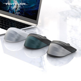 fstyler 飞时代 双飞燕FB35CS可充电式蓝牙无线双模鼠标办公商务苹果MAC笔记本华为惠普通用 FB35CS双模（银灰白）充电静音版 无线