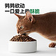 爆卖年货：帕特 无谷鹌鹑猫主粮 200g（50g×4包）