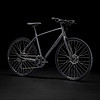 TREK 崔克 FX2轻便液压碟刹通勤700C多功能自行车平把公路车