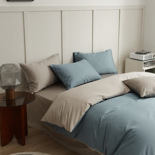 年货不打烊：兰芮 100支全棉贡缎新疆长绒棉纯棉四件套 200*230cm