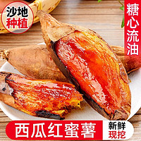 小覃同学 西瓜红蜜薯 9斤