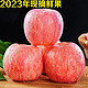 枝头春 烟台红富士苹果 10斤一级特大果（单果85mm+）