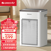 GREE 格力 空气净化器除甲醛除菌除异味除PM2.5除雾霾粉尘远程Wifi控制家用小巧轻便 KJ210G-A01