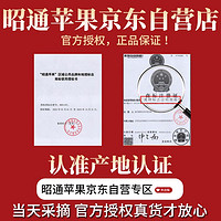 昭通苹果 新果云南丑苹果9斤（80mm左右） 冰糖心稀有水果礼盒整箱