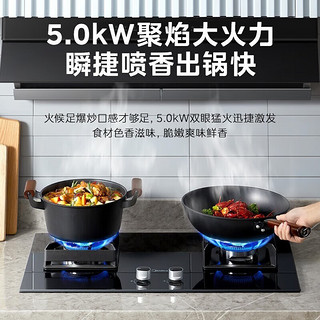 美的（Midea）燃气灶天然气家用5.0KW大火力嵌入式燃气灶3D猛火灶 煤气灶双眼灶铜火盖液化气燃气灶Q230A 【5.0KW猛火灶】液化气